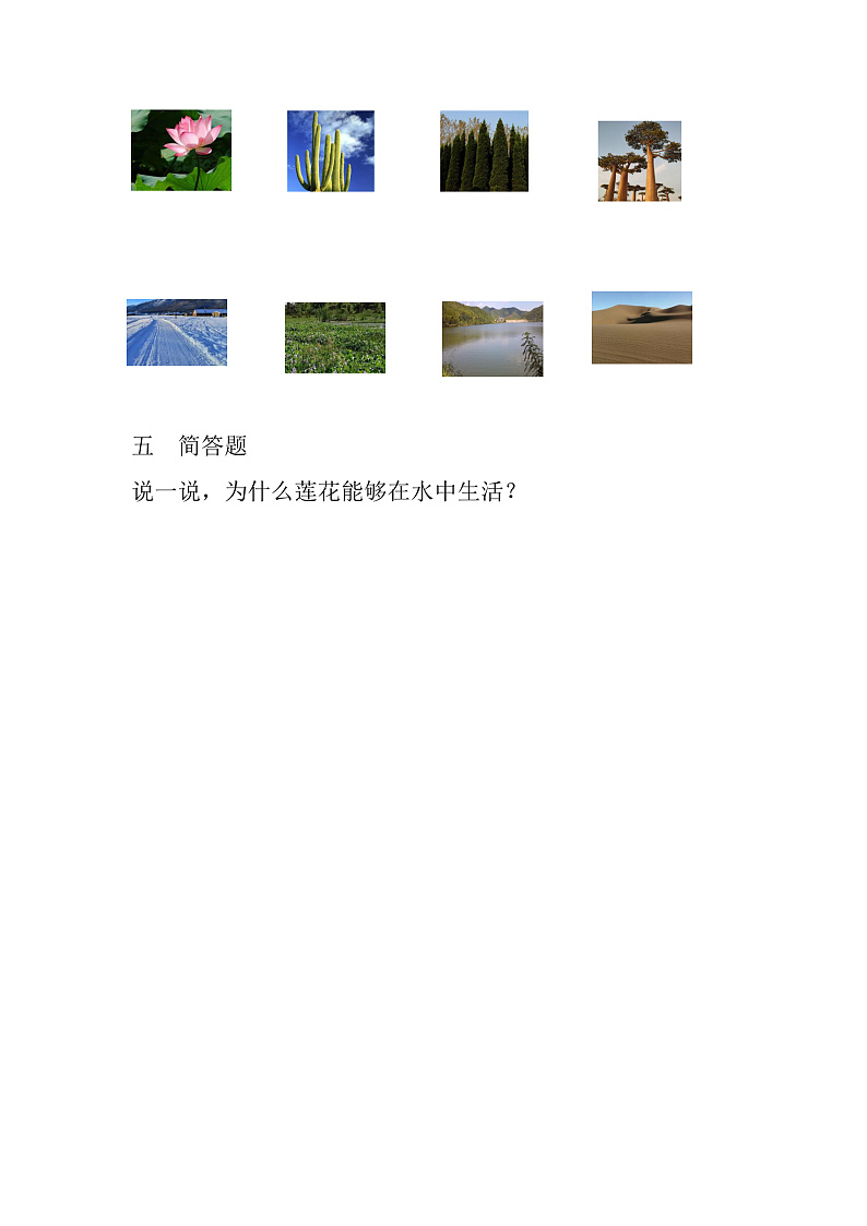 青岛版科学四年级下册4.14《不同环境中的植物》课件+教案+练习（含答案）+素材03