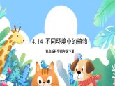 青岛版科学四年级下册4.14《不同环境中的植物》课件+教案+练习（含答案）+素材