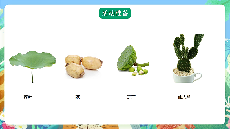 青岛版科学四年级下册4.14《不同环境中的植物》课件+教案+练习（含答案）+素材06