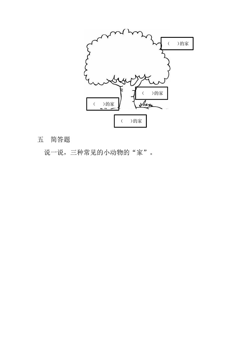青岛版科学四年级下册5.17《动物的“家”》课件+教案+练习（含答案）+素材03