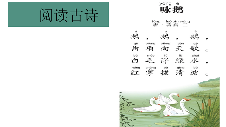 花城版音乐1上第十三课《咏鹅》课件第6页