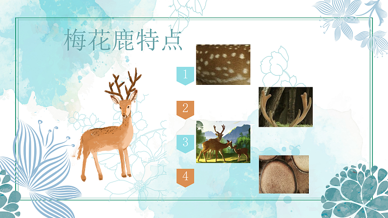 花城版音乐1上第十四课《梅花鹿》课件+教案05