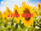 第3課《發(fā)現(xiàn)自我 完善自我》課件-【中職專用】《心理健康與職業(yè)生涯》同步課堂精品課件