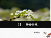 14《驛路梨花》教學(xué)課件-同步教學(xué)統(tǒng)編版語文七年級下冊名師備課系列