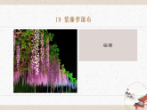 19《紫藤蘿瀑布》教學(xué)課件-同步教學(xué)統(tǒng)編版語文七年級下冊名師備課系列
