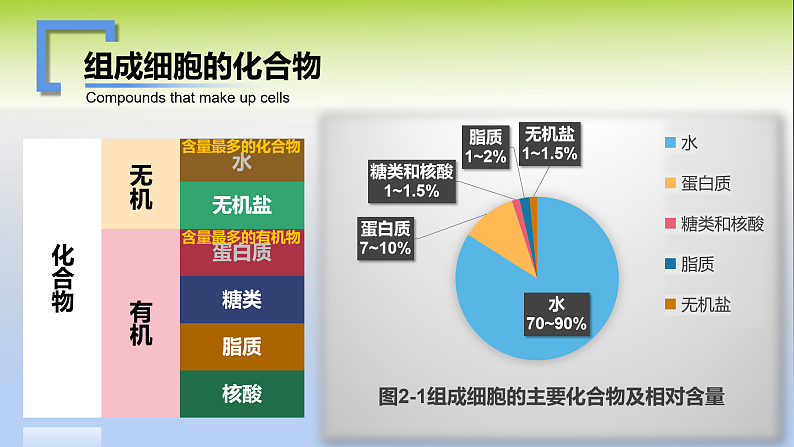 人教版2019高中生物必修1课件2-1细胞中的元素和化合物(可编版)08