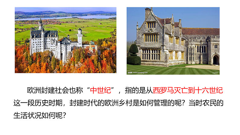 第8课 西欧庄园 课件---2023-2024学年部编版九年级历史上册第1页