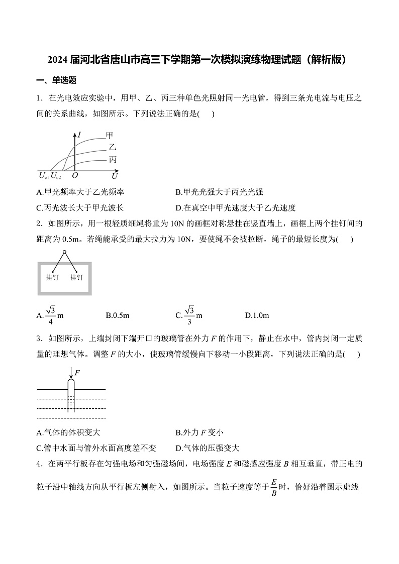 2024届河北省唐山市高三下学期第一次模拟演练物理试题（解析版）01