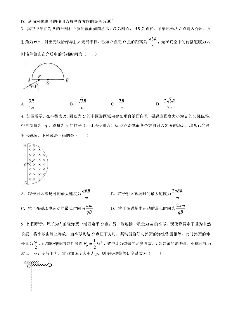 2024届江西省南昌二中等部分学校高三下学期5月第一次适应性考试大联考物理试题 解析版02