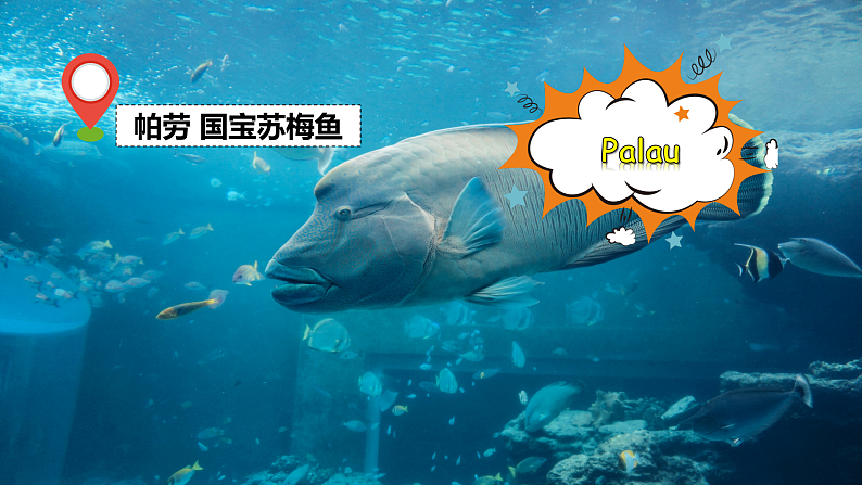 【公开赛课】人教初中英语课件八上Unit1-Section A 1a-2d 课件07