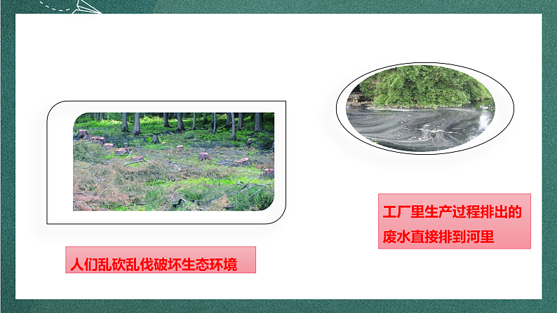 人教部编版语文四年级上册第一单元 口语交际 《我们与环境》 课件+教案06