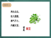 人教部编版语文四年级上册5《一个豆荚里的五粒豆》 第1课时课件+教案+音频素材