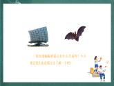人教部编版语文四年级上册6《夜间飞行的秘密》 第1课时 课件+教案