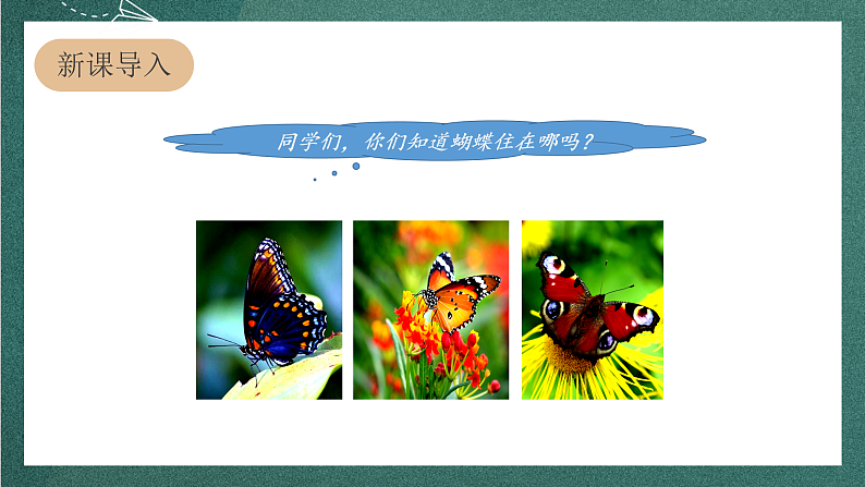 人教部编版语文四年级上册8《蝴蝶的家 》 课件+教案+音频素材03