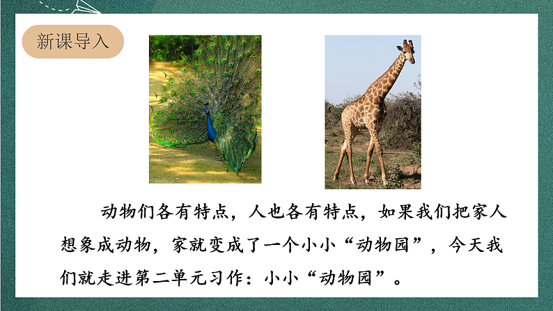 人教部编版语文四年级上册第二单元 习作《 小小“动物园” 》课件+教案02