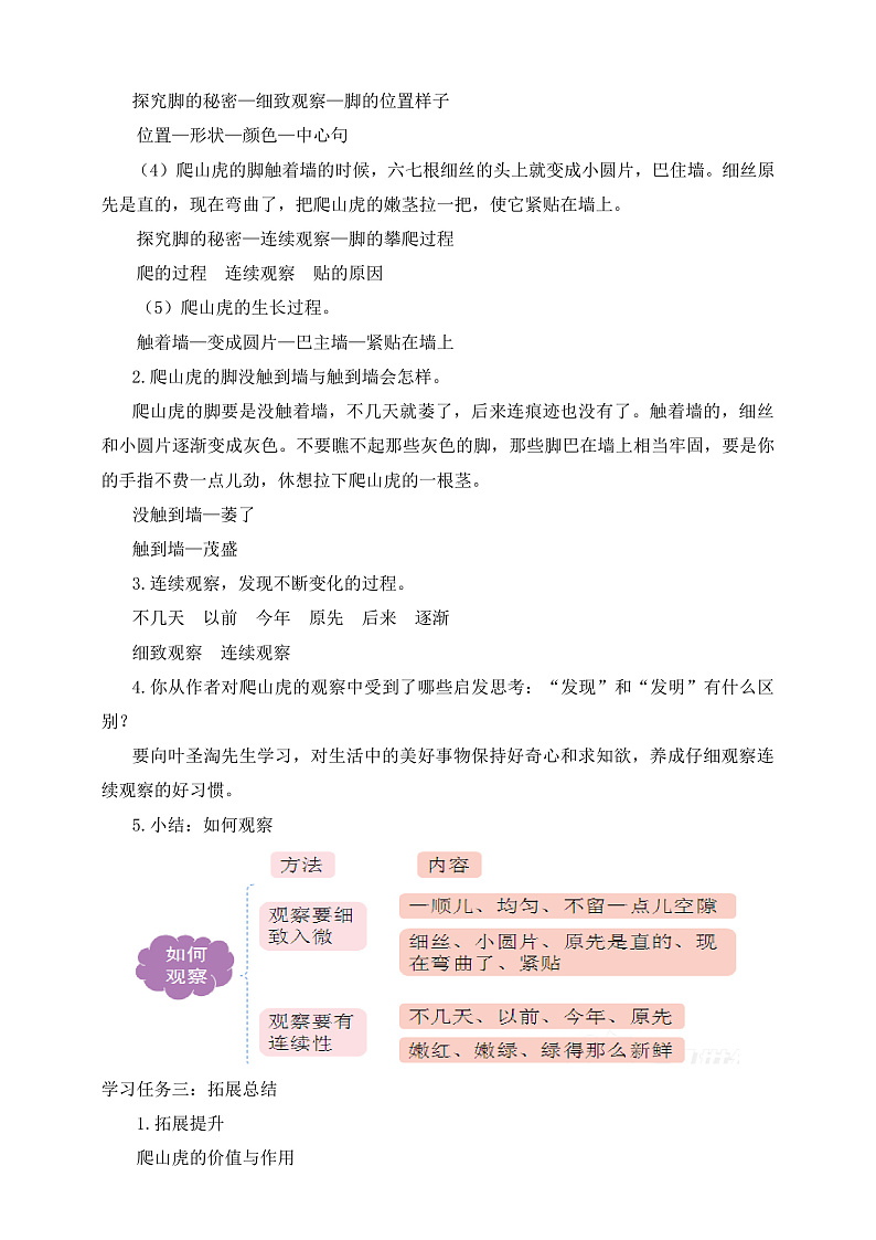 人教部编版语文四年级上册10《爬山虎的脚》 第2课时课件+教案02