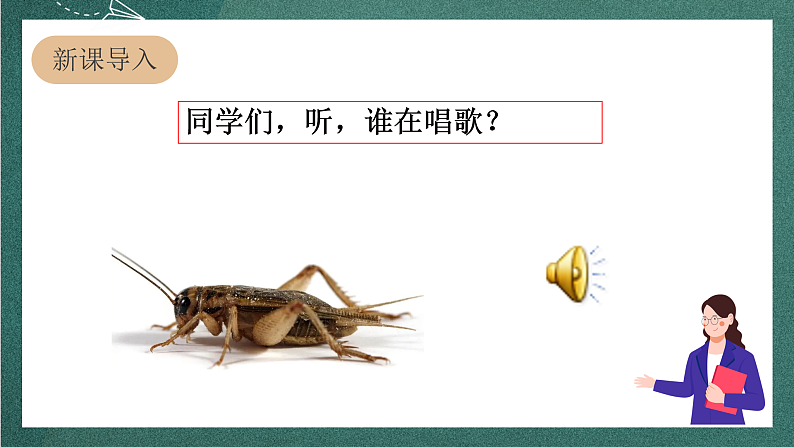 人教部编版语文四年级上册11《蟋蟀的住宅》 第1课时 课件+教案+音频素材03