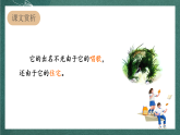 人教部编版语文四年级上册11《蟋蟀的住宅》 第2课时  课件+教案