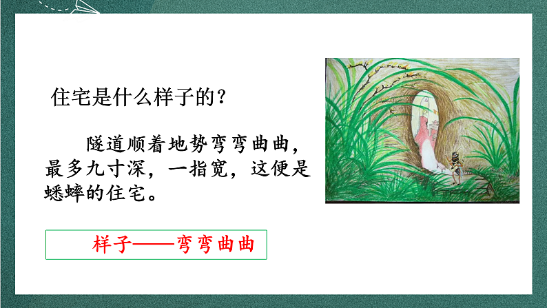 人教部编版语文四年级上册11《蟋蟀的住宅》 第2课时  课件+教案07