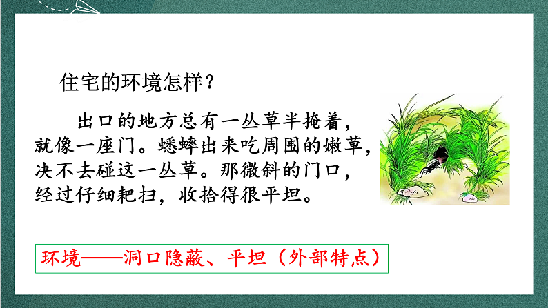 人教部编版语文四年级上册11《蟋蟀的住宅》 第2课时  课件+教案08