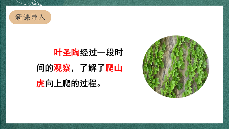 人教部编版语文四年级上册第三单元 习作 《写观察日记》 课件+教案02