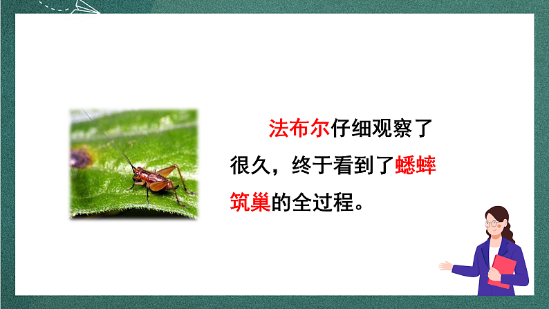 人教部编版语文四年级上册第三单元 习作 《写观察日记》 课件+教案03