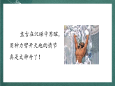 人教部編版語(yǔ)文四年級(jí)上冊(cè)12《盤(pán)古開(kāi)天地》 第2課時(shí) 課件+教案