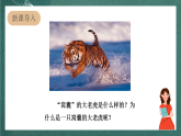 人教部编版语文四年级上册19《一只窝囊的大老虎》 第1课时课件+教案+音频素材