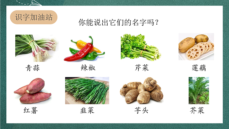 人教部编版语文四年级上册《语文园地六》 课件+教案06