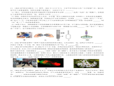 苏科版物理八年级下册  7.1 走进分子世界 课件+练习