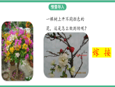 苏教版生物八年级下册 21.1生物的无性生殖（第一课时）课件
