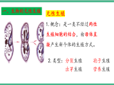 苏教版生物八年级下册 21.1生物的无性生殖（第一课时）课件