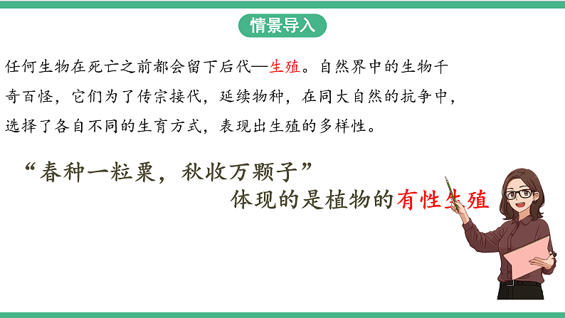 苏教版生物八年级下册 21.2植物的有性生殖（第一课时）课件第3页