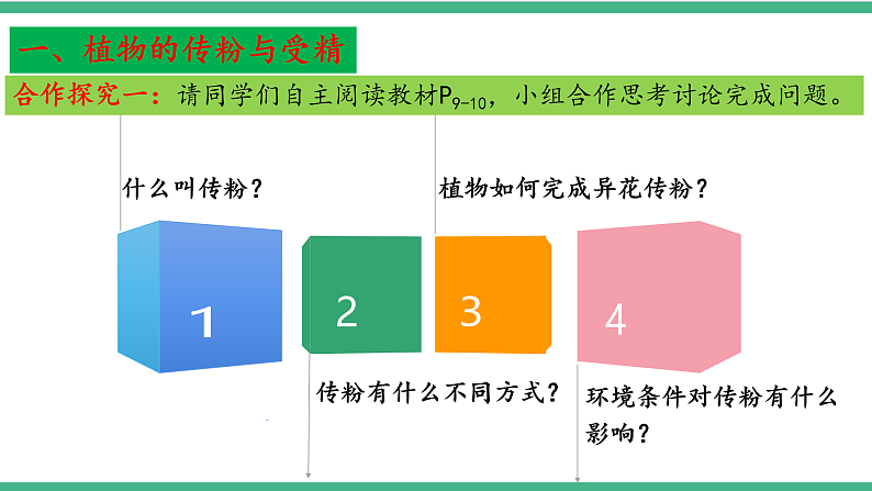 苏教版生物八年级下册 21.2植物的有性生殖（第一课时）课件第5页