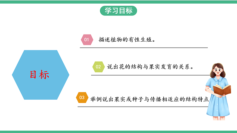 苏教版生物八年级下册 21.2植物的有性生殖（第二课时） 课件02
