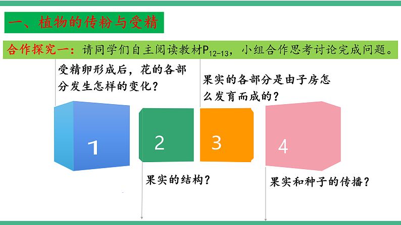 苏教版生物八年级下册 21.2植物的有性生殖（第二课时） 课件04