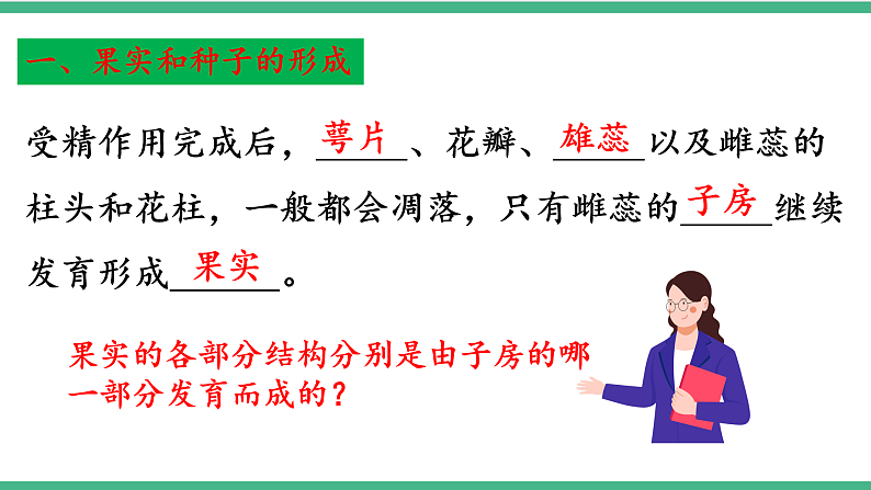 苏教版生物八年级下册 21.2植物的有性生殖（第二课时） 课件05