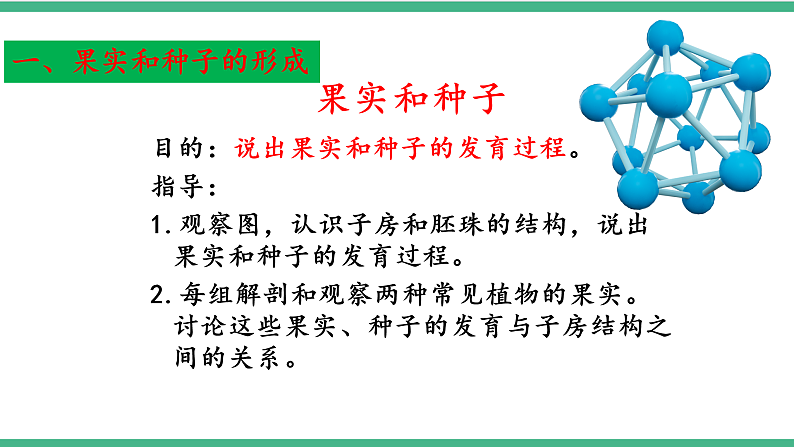 苏教版生物八年级下册 21.2植物的有性生殖（第二课时） 课件06
