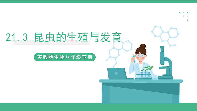 苏教版生物八年级下册 21.3昆虫的生殖与发育 课件01