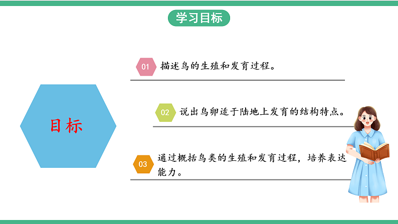 苏教版生物八年级下册 21.5鸟类的生殖与发育 课件02