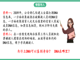 苏教版生物八年级下册 22.1 DNA是主要的遗传物质 课件