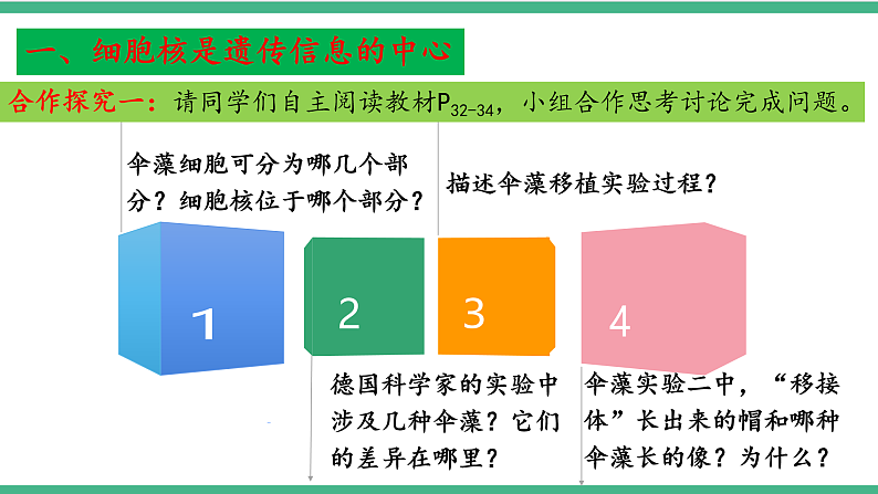 苏教版生物八年级下册 22.1 DNA是主要的遗传物质 课件第6页