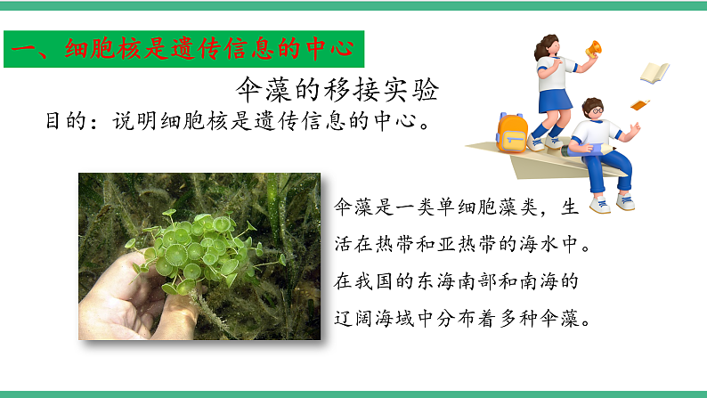 苏教版生物八年级下册 22.1 DNA是主要的遗传物质 课件第7页