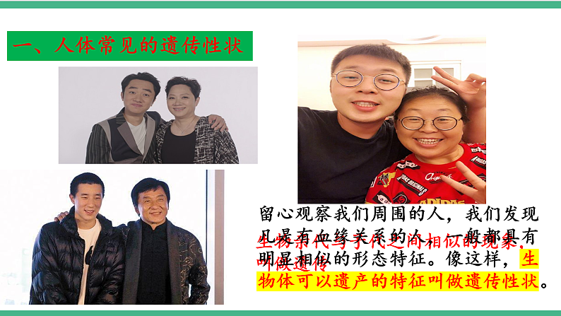 苏教版生物八年级下册 22.2 人的性状和遗传 课件04
