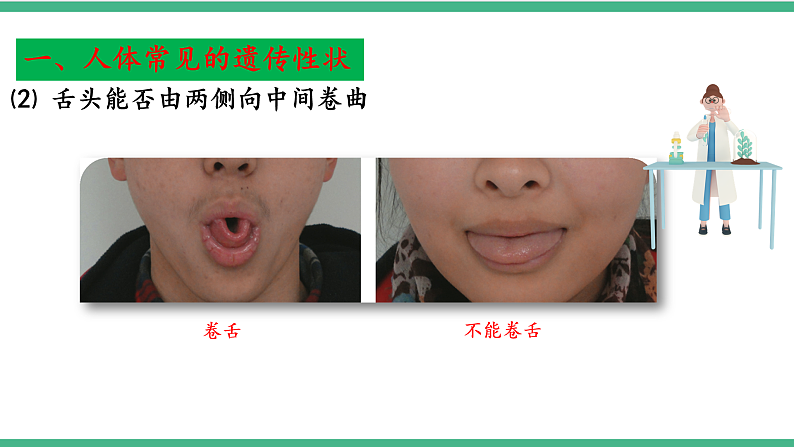 苏教版生物八年级下册 22.2 人的性状和遗传 课件07