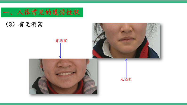 苏教版生物八年级下册 22.2 人的性状和遗传 课件08