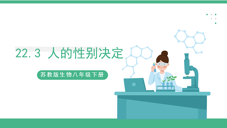 苏教版生物八年级下册 22.3人的性别决定 课件01