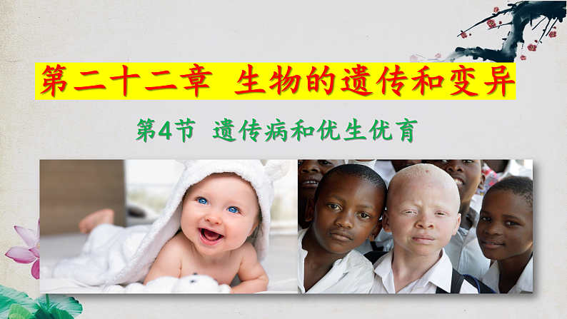 苏教版生物八年级下册 22.4遗传病和优生优育 课件01