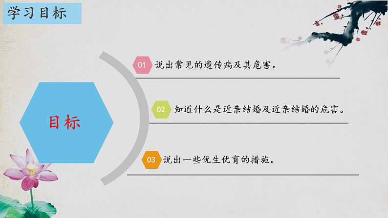 苏教版生物八年级下册 22.4遗传病和优生优育 课件02