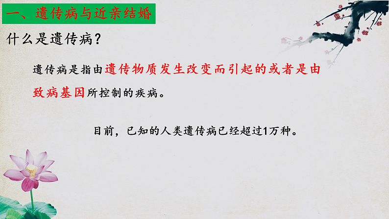 苏教版生物八年级下册 22.4遗传病和优生优育 课件05
